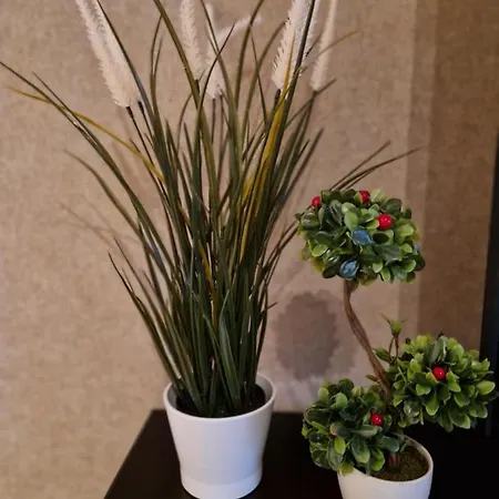 Sensation 3 Appartamento