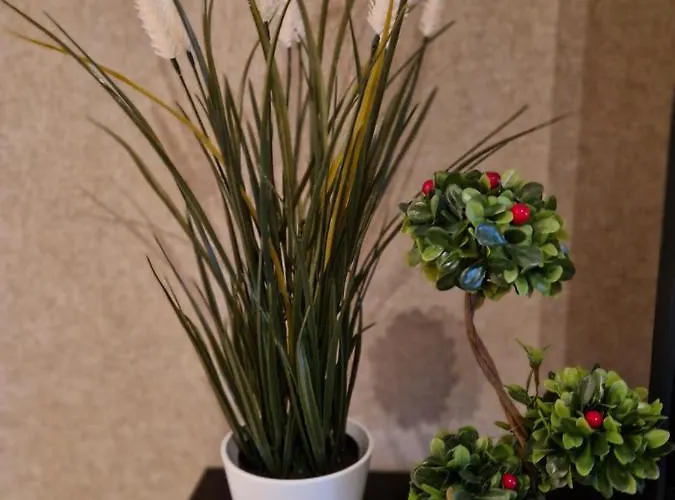 Sensation 3 Apartament